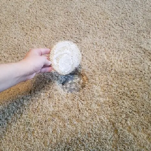 Carpet Hole Repair Ballarat